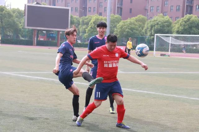 杨瀚森陷入轮换困境，表现有限难获重用